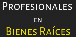 Profesionales_log
